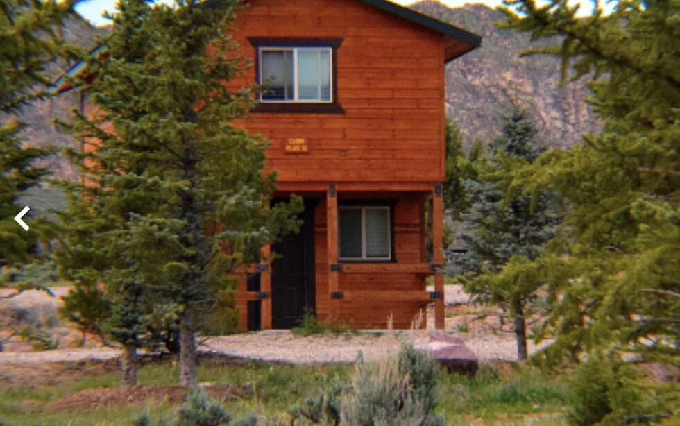 Cabin Parent Draft